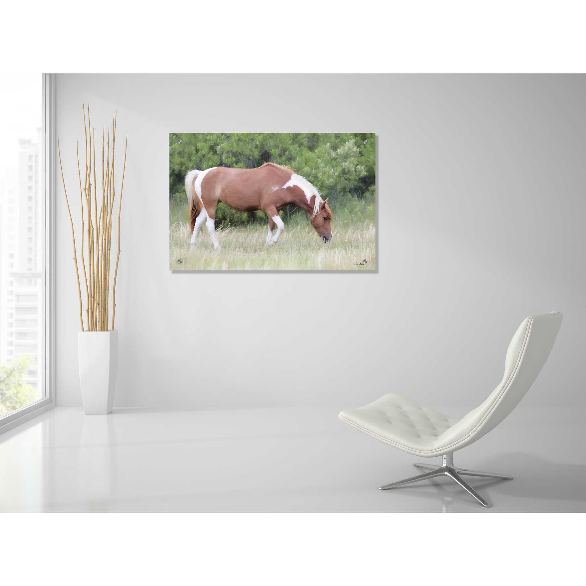 Epic Art 'Assateague Horse' by Lori Deiter, Acrylic Glass Wall Art,36x24