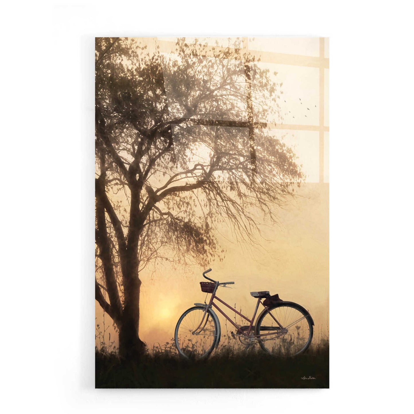 Epic Art 'Foggy Morning Sunrise' by Lori Deiter, Acrylic Glass Wall Art,16x24