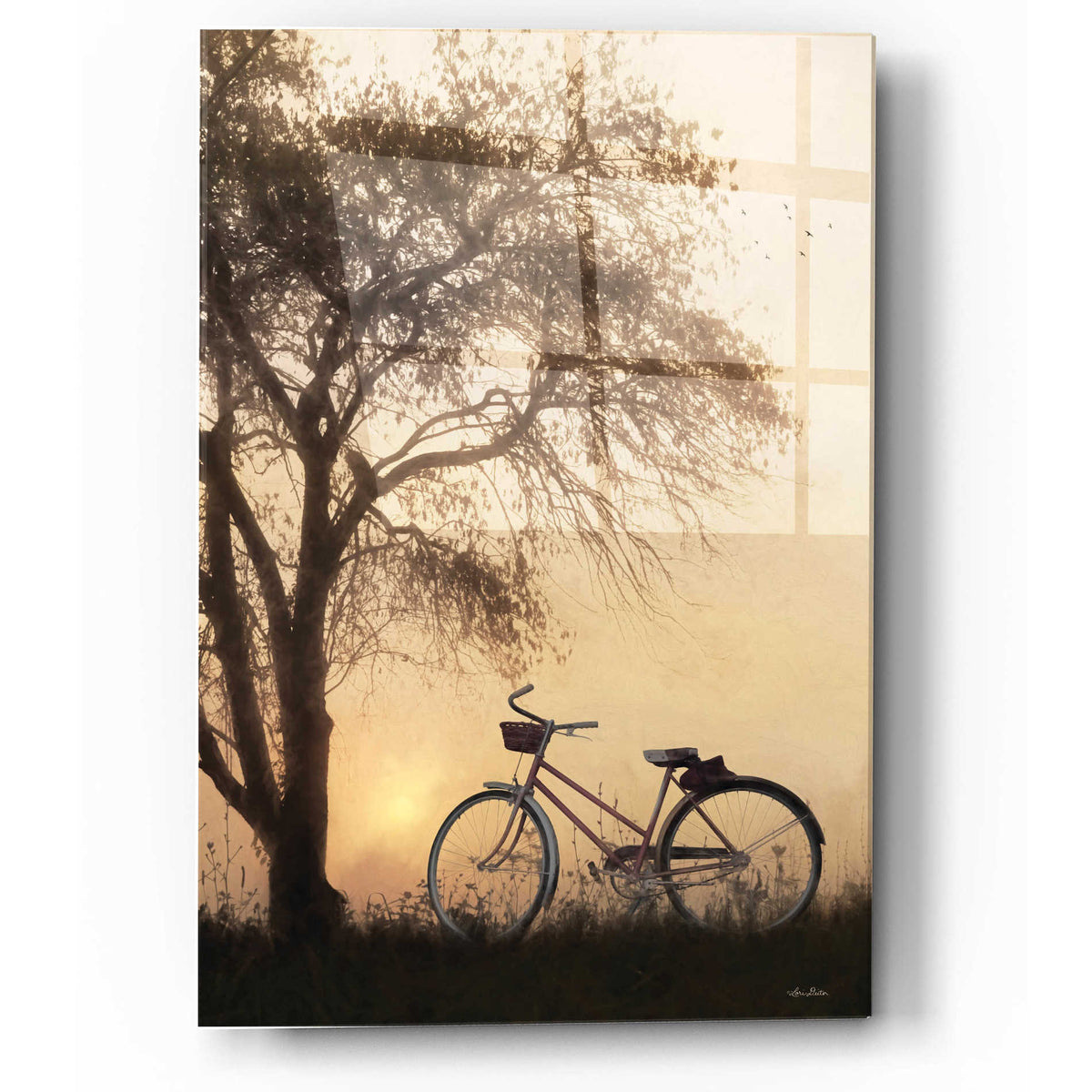 Epic Art 'Foggy Morning Sunrise' by Lori Deiter, Acrylic Glass Wall Art