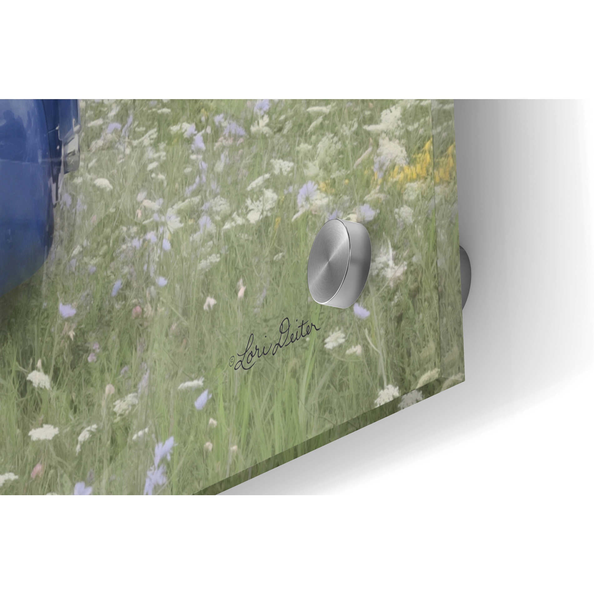 Epic Art 'Old Fashioned Spring' by Lori Deiter, Acrylic Glass Wall Art,36x24