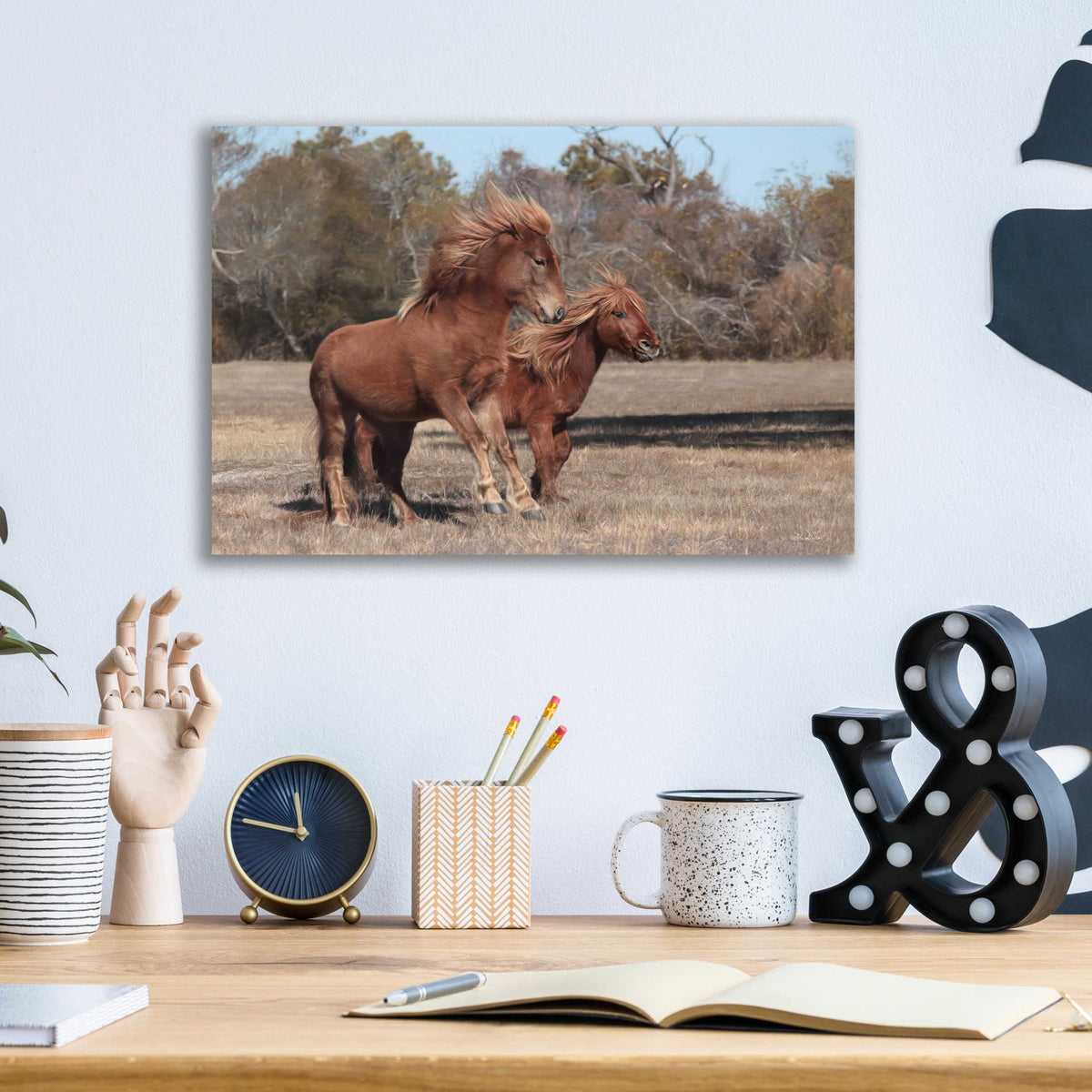 Epic Art 'Assateague Horses I' by Lori Deiter, Acrylic Glass Wall Art,16x12