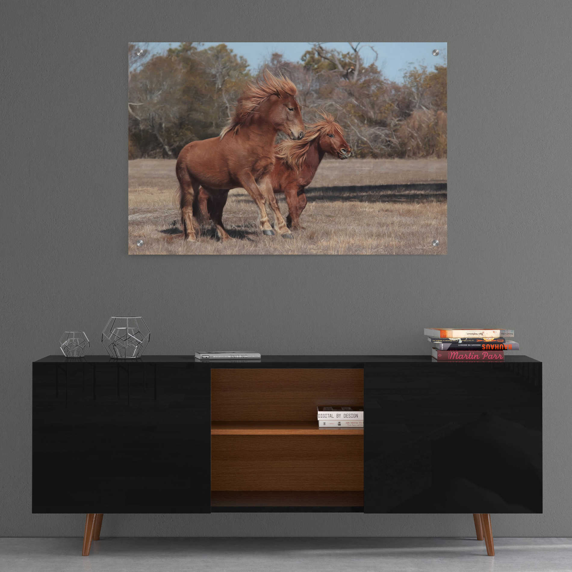 Epic Art 'Assateague Horses I' by Lori Deiter, Acrylic Glass Wall Art,36x24