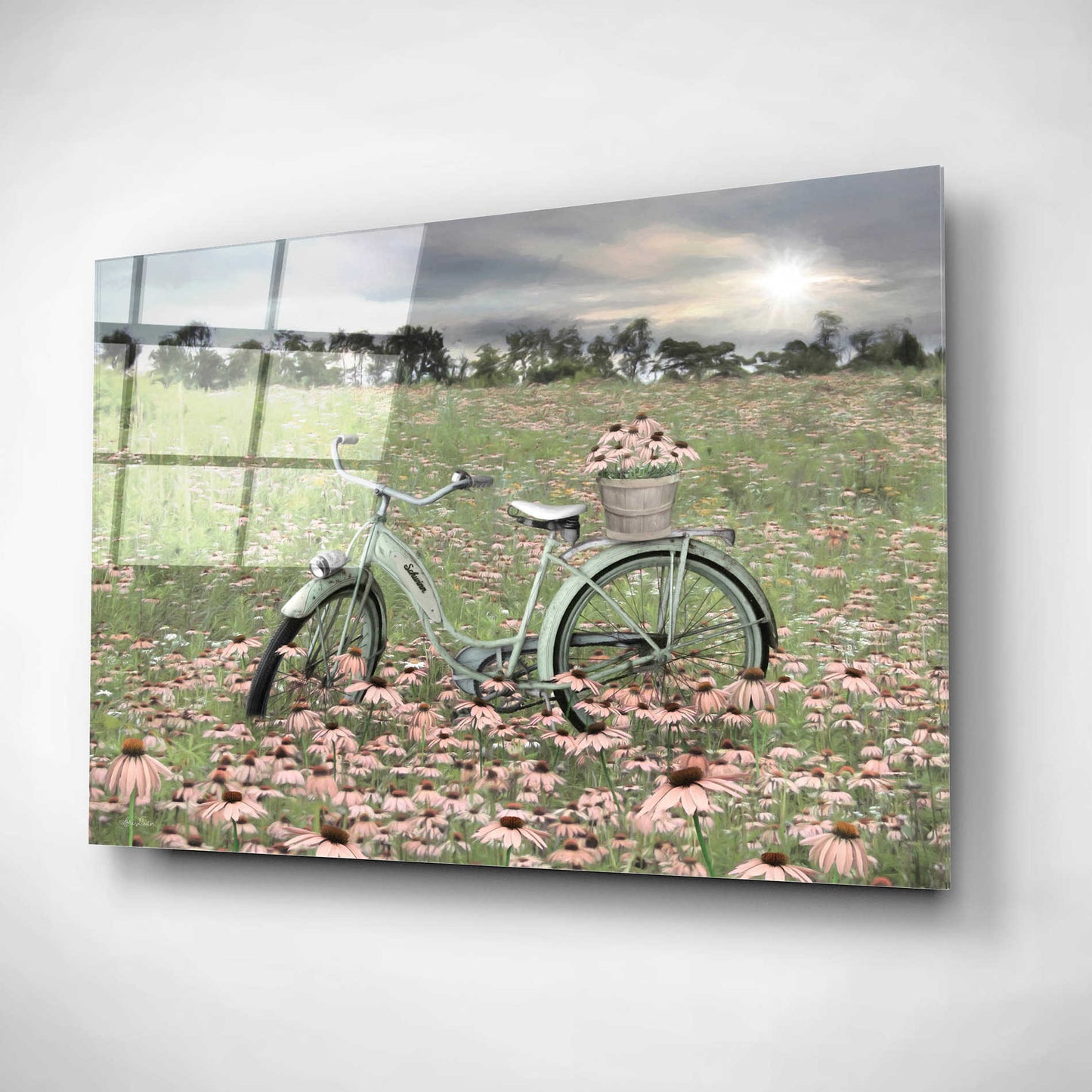 Epic Art 'Sagebrush Bicycle' by Lori Deiter, Acrylic Glass Wall Art,16x12