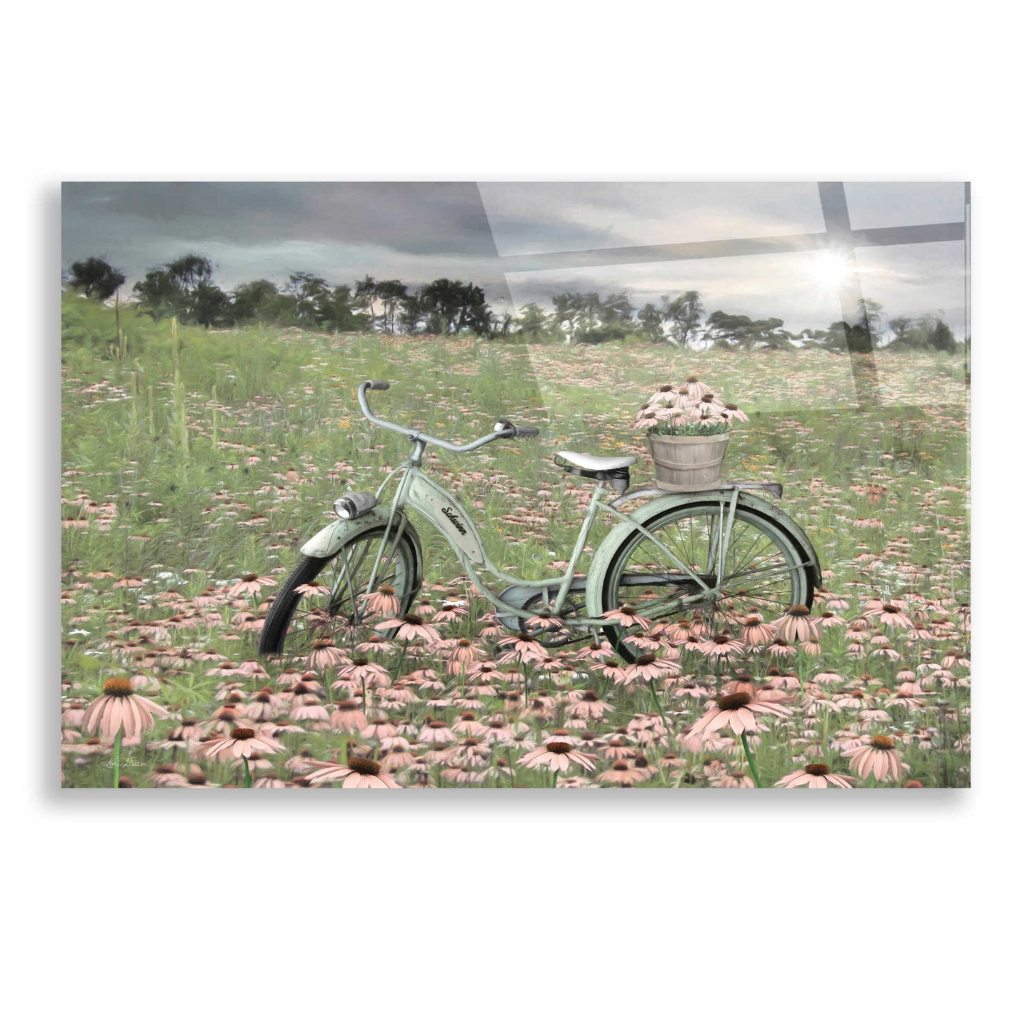Epic Art 'Sagebrush Bicycle' by Lori Deiter, Acrylic Glass Wall Art,24x16