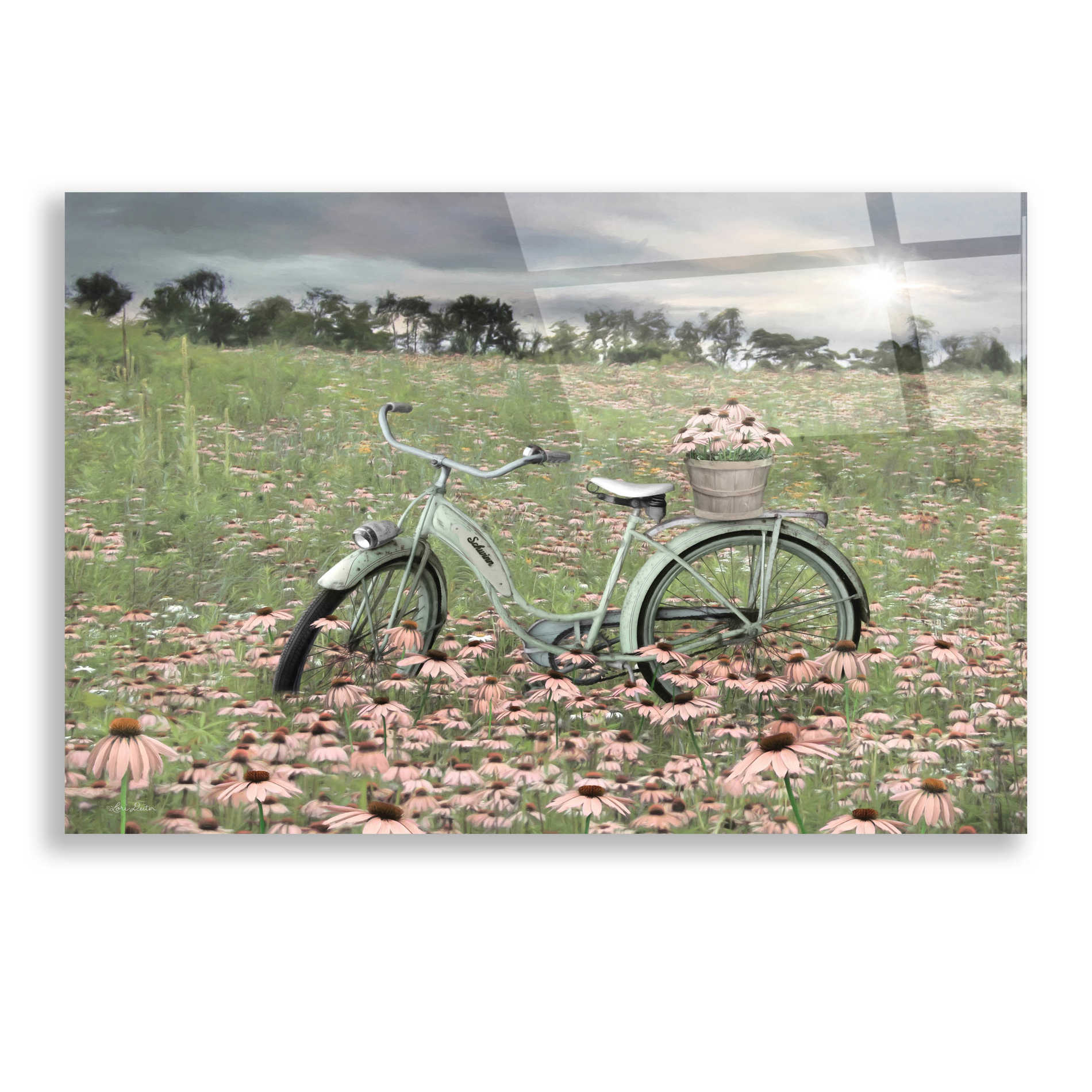 Epic Art 'Sagebrush Bicycle' by Lori Deiter, Acrylic Glass Wall Art,24x16