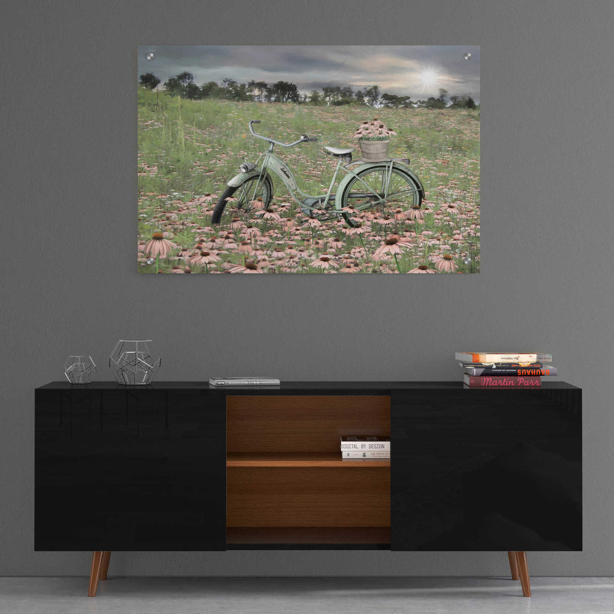 Epic Art 'Sagebrush Bicycle' by Lori Deiter, Acrylic Glass Wall Art,36x24