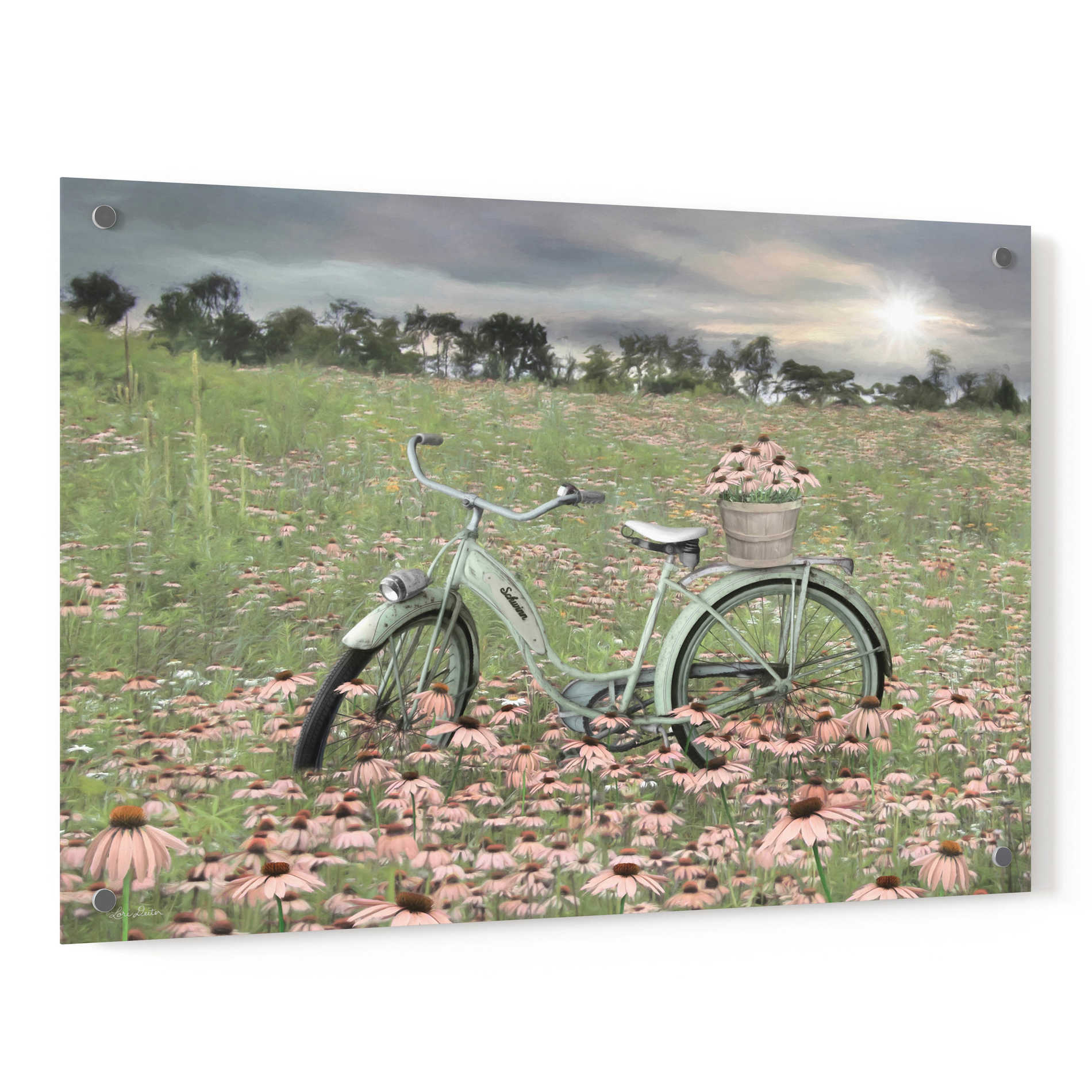 Epic Art 'Sagebrush Bicycle' by Lori Deiter, Acrylic Glass Wall Art,36x24