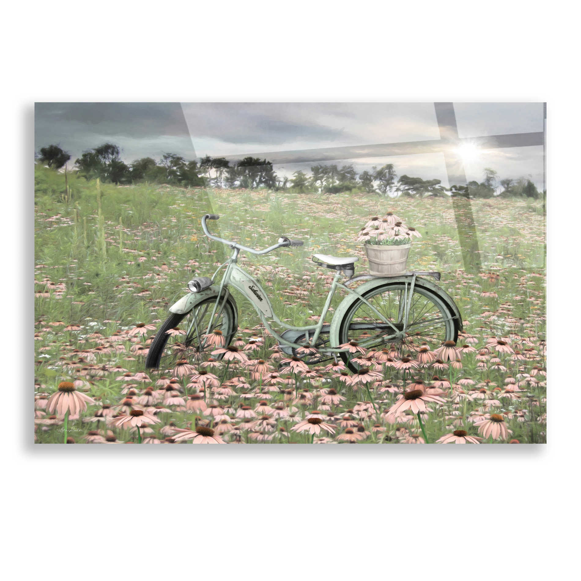 Epic Art 'Sagebrush Bicycle' by Lori Deiter, Acrylic Glass Wall Art