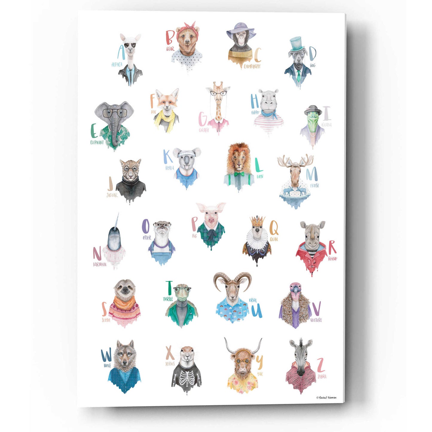 Epic Art 'Animal Alphabet Poster' by Rachel Nieman, Acrylic Glass Wall Art,12x16
