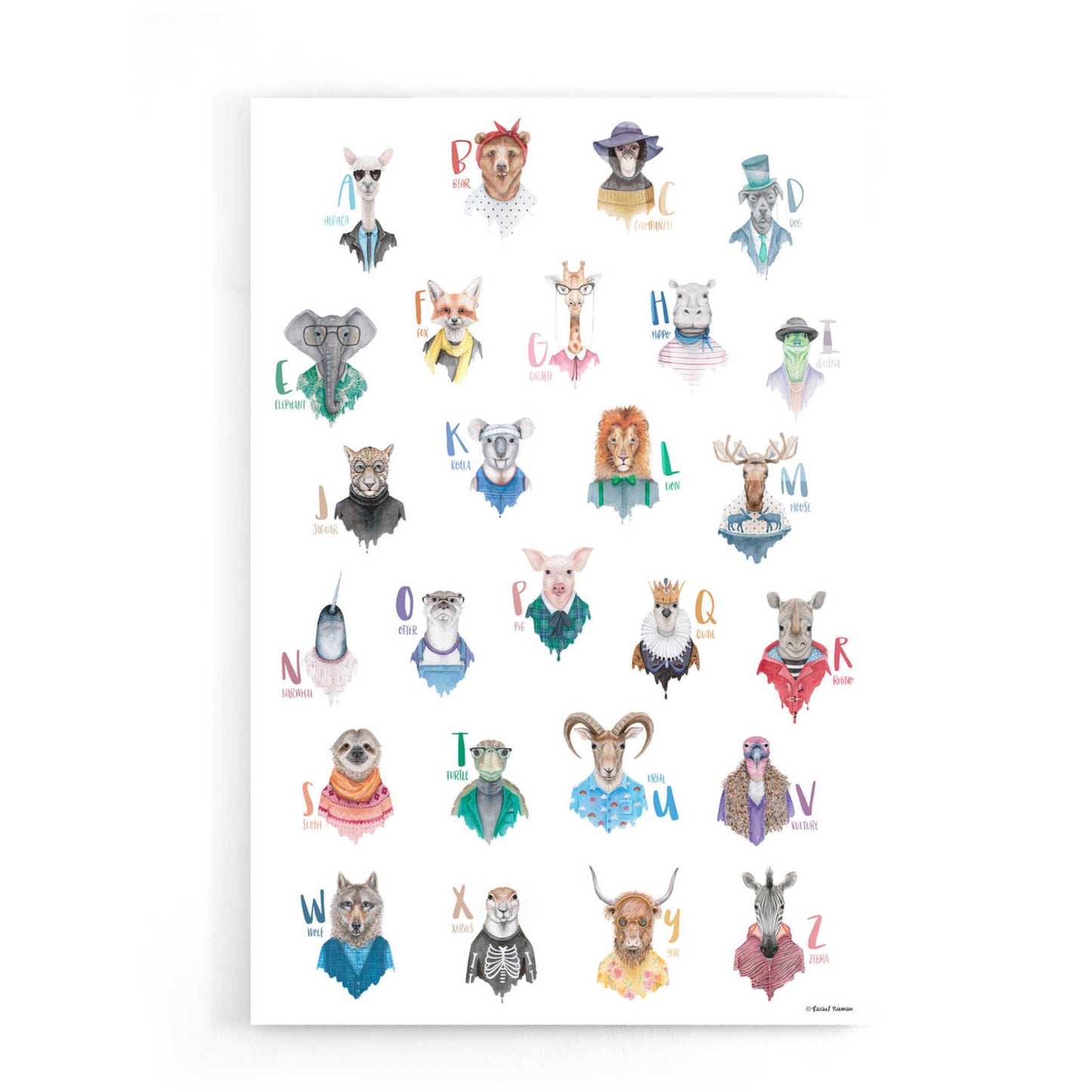 Epic Art 'Animal Alphabet Poster' by Rachel Nieman, Acrylic Glass Wall Art,16x24
