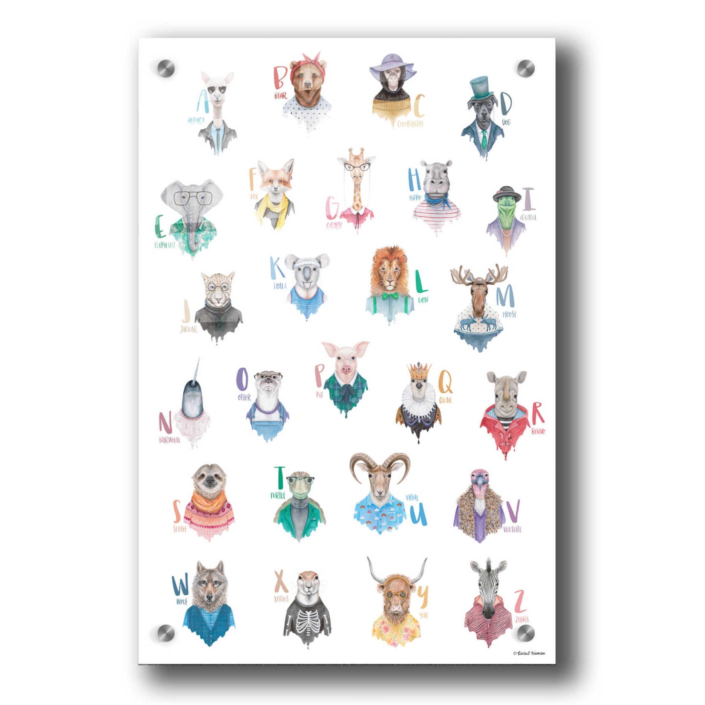Epic Art 'Animal Alphabet Poster' by Rachel Nieman, Acrylic Glass Wall Art,24x36