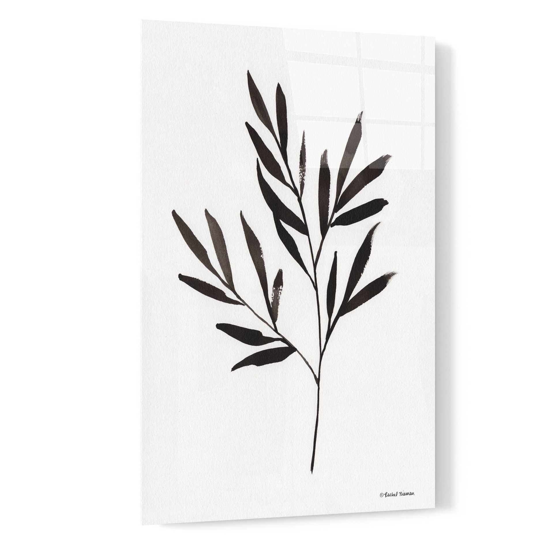 Epic Art 'Reductive Leaf Stem Black' by Rachel Nieman, Acrylic Glass Wall Art,16x24