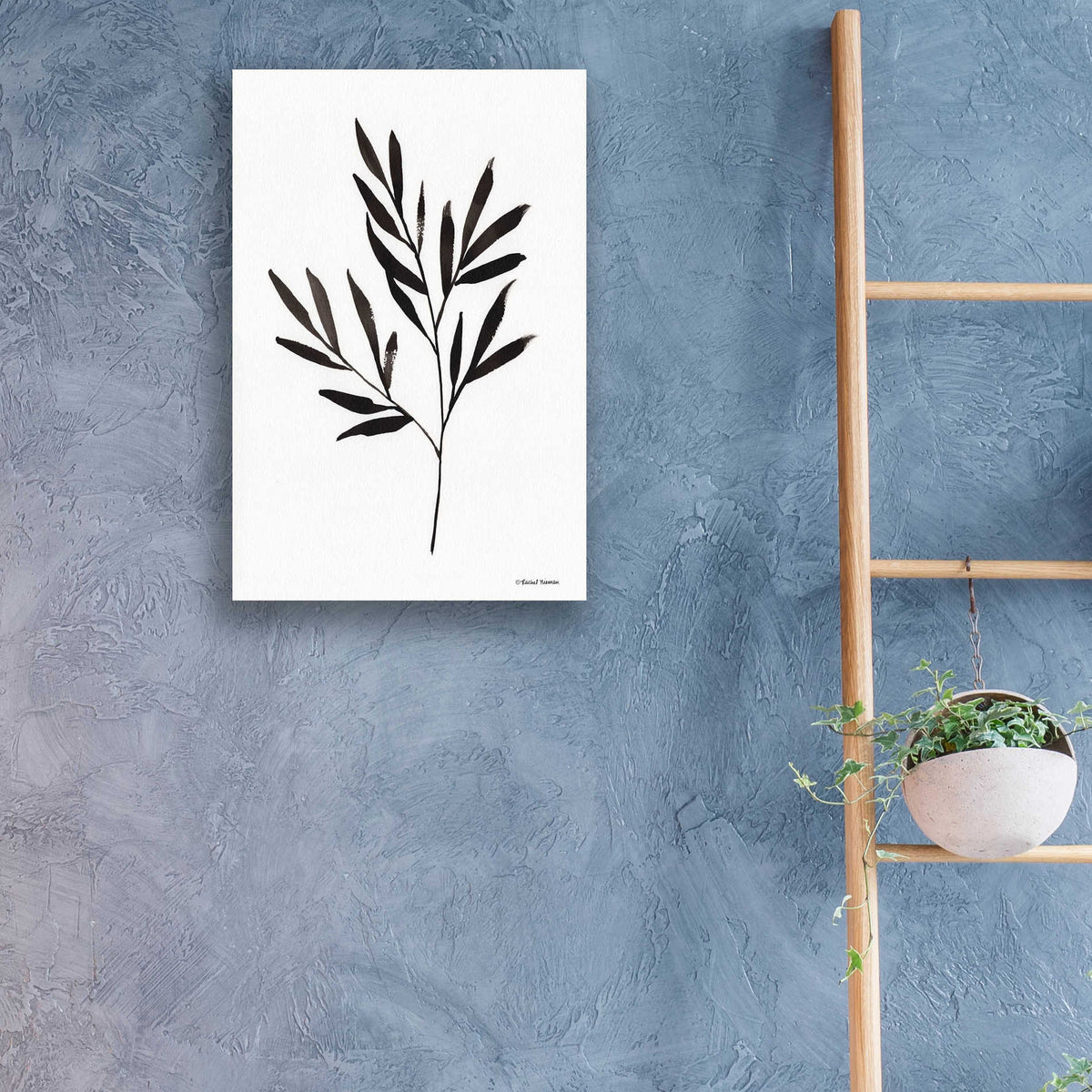 Epic Art 'Reductive Leaf Stem Black' by Rachel Nieman, Acrylic Glass Wall Art,16x24