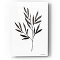Epic Art 'Reductive Leaf Stem Black' by Rachel Nieman, Acrylic Glass Wall Art