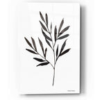 Epic Art 'Reductive Leaf Stem Black' by Rachel Nieman, Acrylic Glass Wall Art