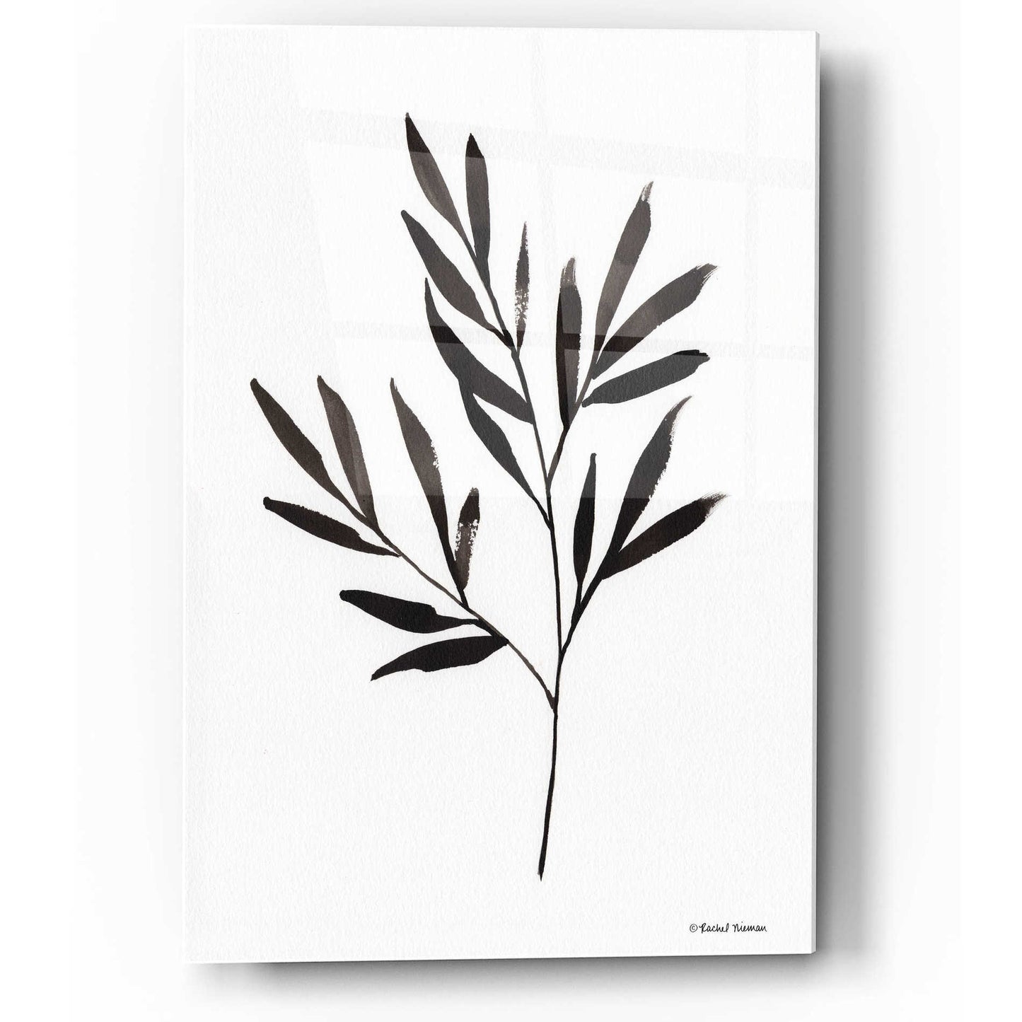 Epic Art 'Reductive Leaf Stem Black' by Rachel Nieman, Acrylic Glass Wall Art