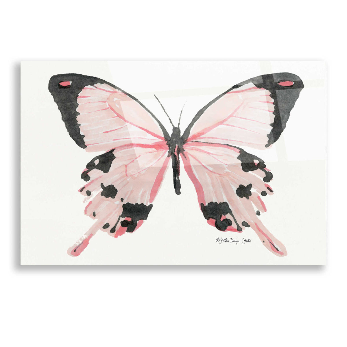 Epic Art 'Butterfly 1' by Stellar Design Studio, Acrylic Glass Wall Art