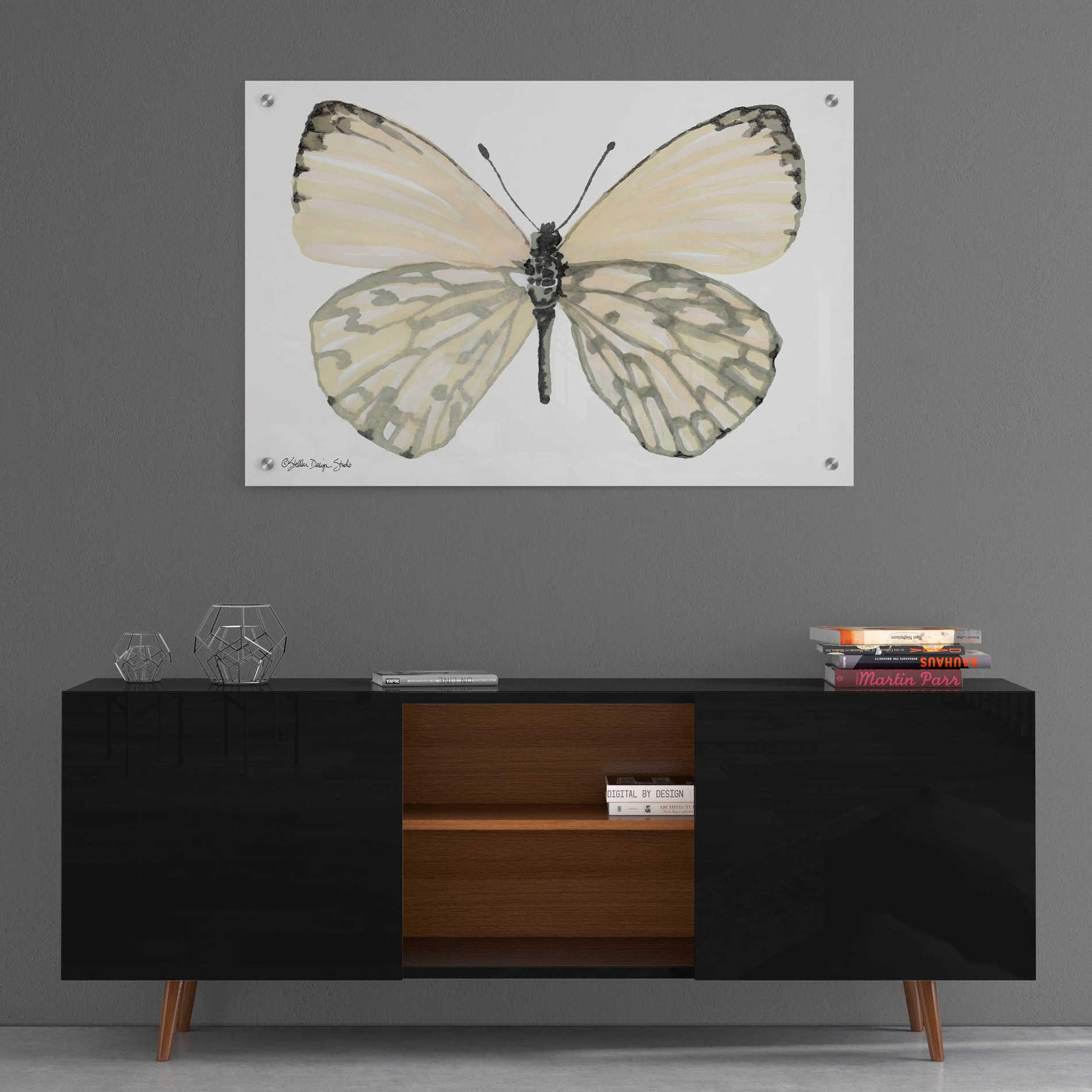 Epic Art 'Butterfly 2' by Stellar Design Studio, Acrylic Glass Wall Art,36x24