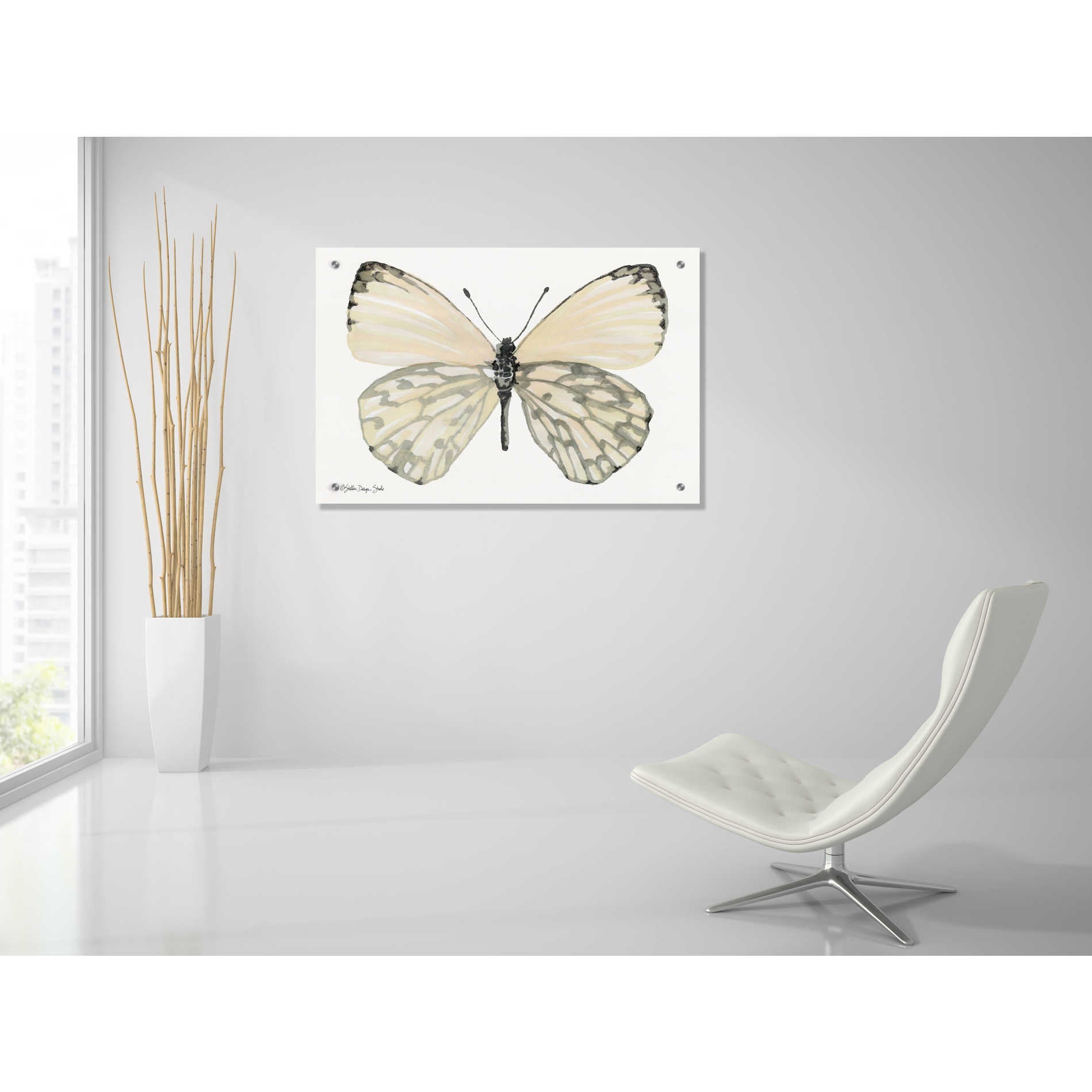 Epic Art 'Butterfly 2' by Stellar Design Studio, Acrylic Glass Wall Art,36x24