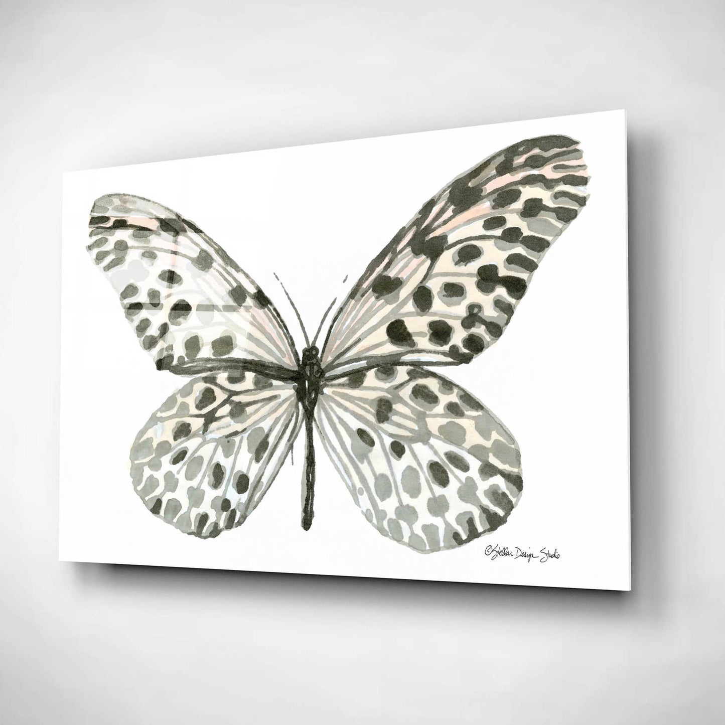 Epic Art 'Butterfly 3' by Stellar Design Studio, Acrylic Glass Wall Art,16x12