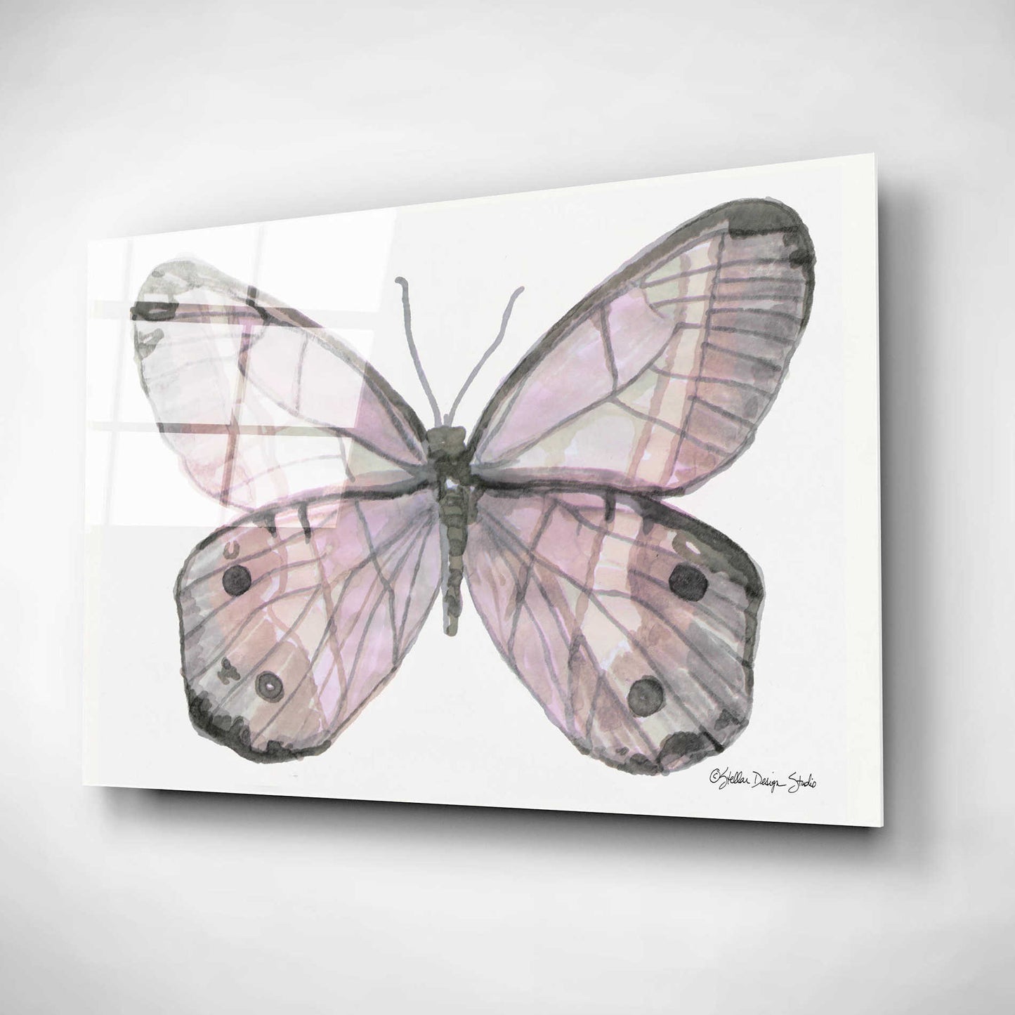 Epic Art 'Butterfly 5' by Stellar Design Studio, Acrylic Glass Wall Art,24x16