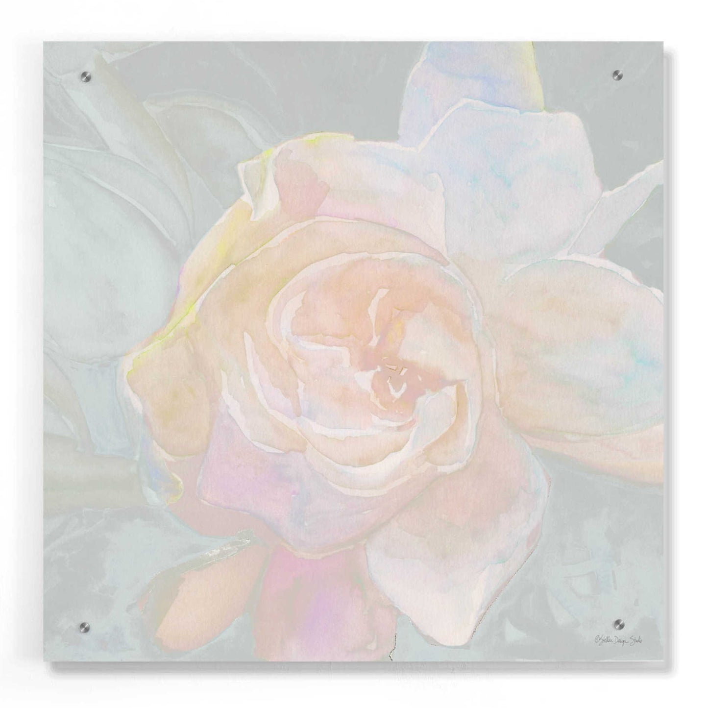 Epic Art 'Rose Bouquet 2' by Stellar Design Studio, Acrylic Glass Wall Art,24x24