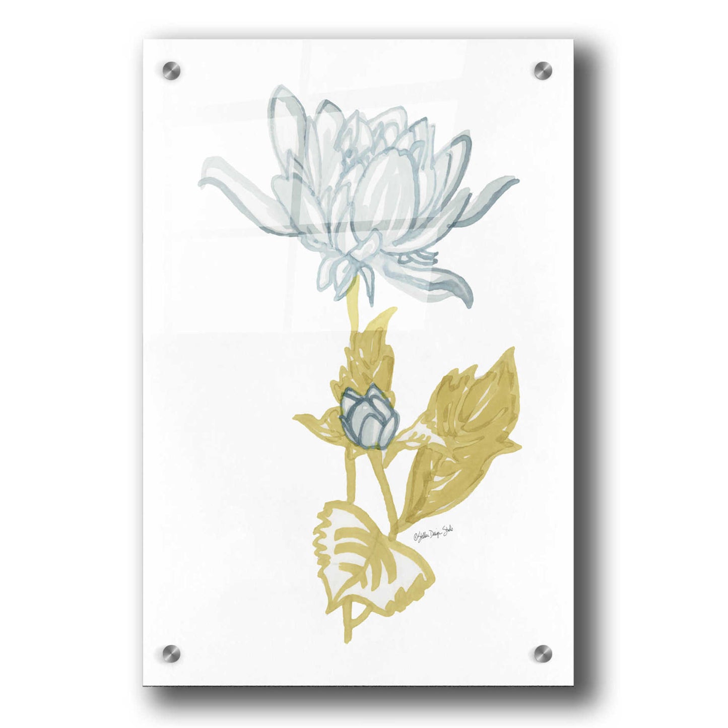 Epic Art 'Country Side Bloom 4' by Stellar Design Studio, Acrylic Glass Wall Art,24x36