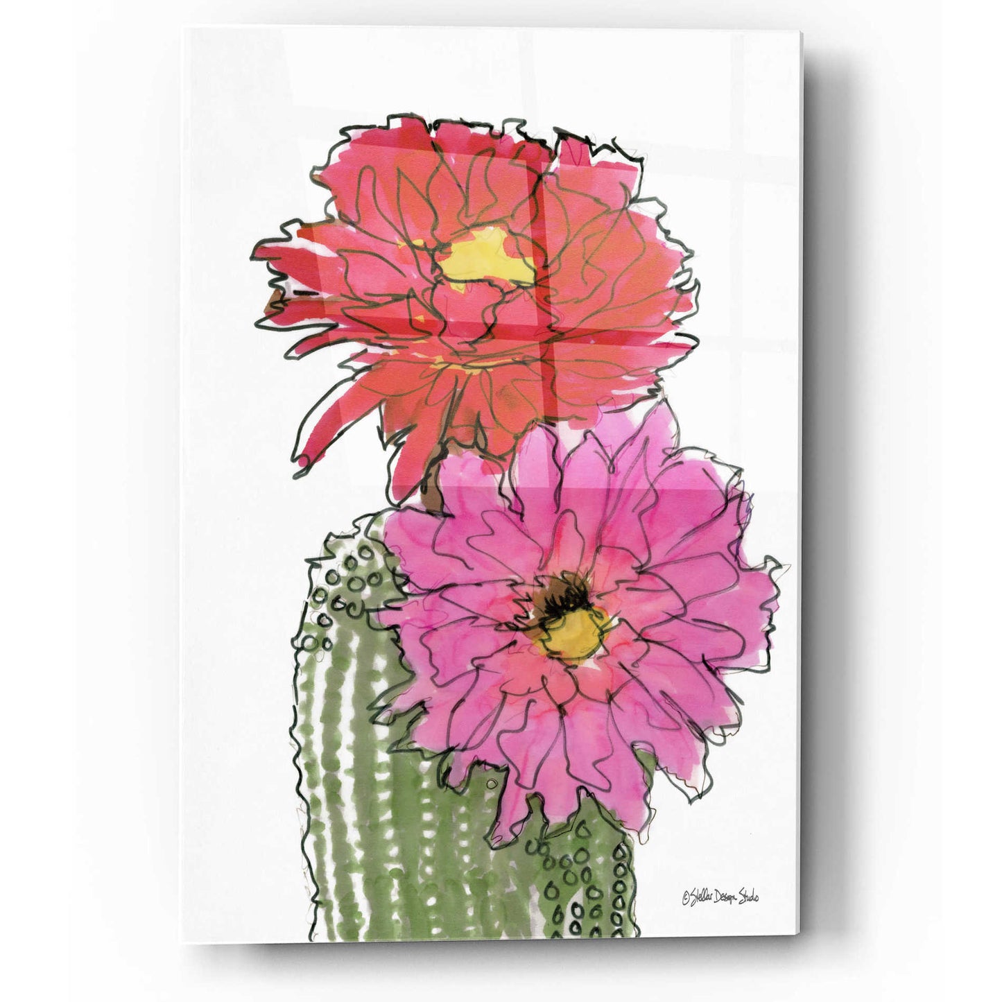 Epic Art 'Cactus Flower 1' by Stellar Design Studio, Acrylic Glass Wall Art,12x16