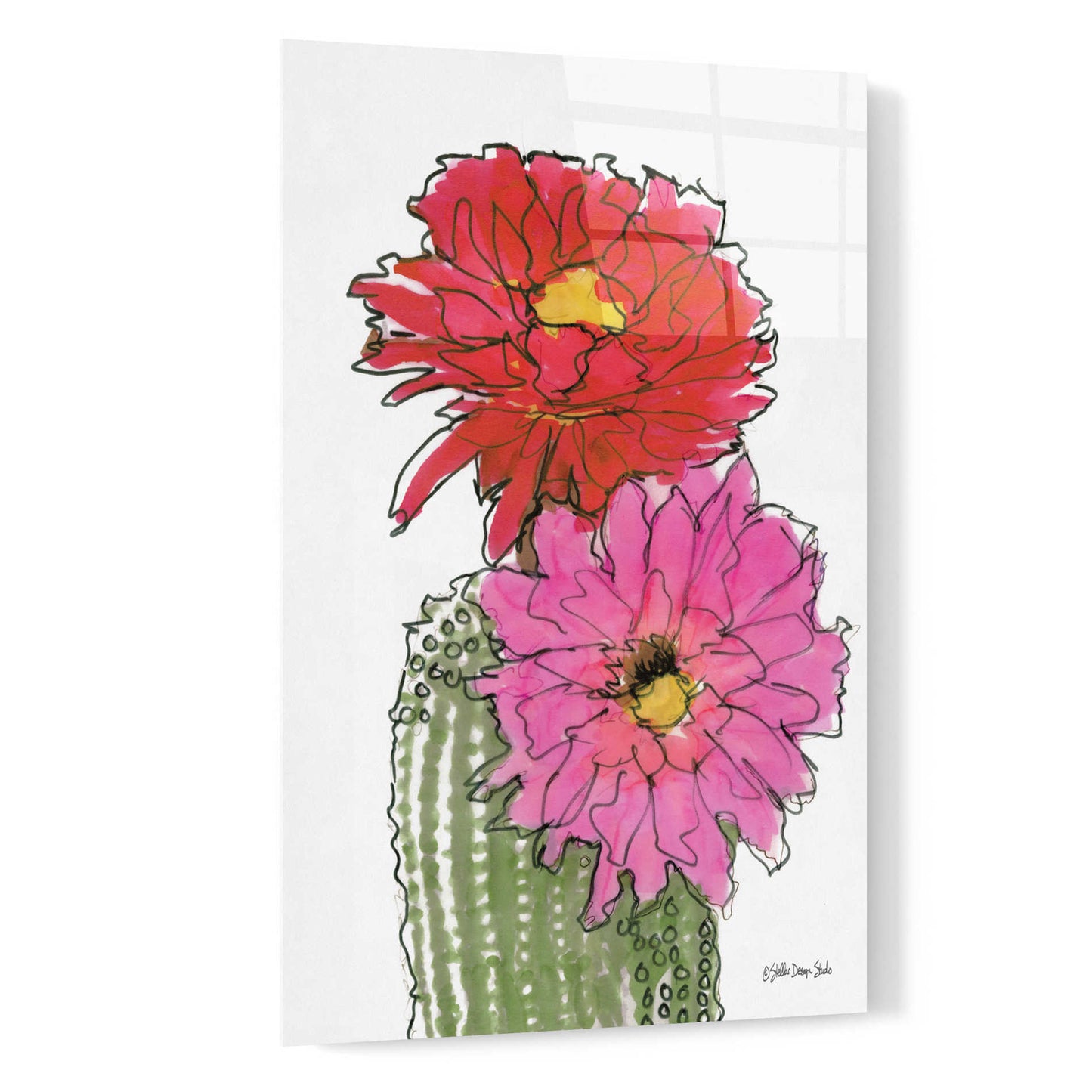 Epic Art 'Cactus Flower 1' by Stellar Design Studio, Acrylic Glass Wall Art,16x24