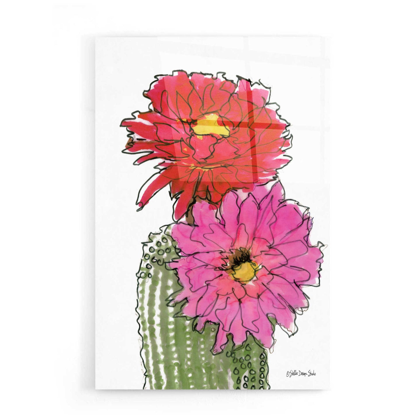 Epic Art 'Cactus Flower 1' by Stellar Design Studio, Acrylic Glass Wall Art,16x24