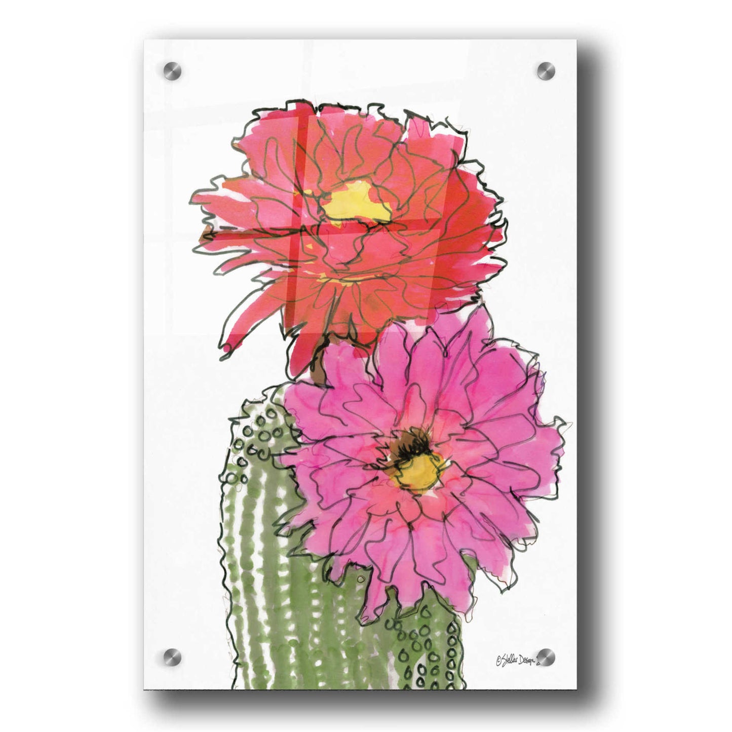 Epic Art 'Cactus Flower 1' by Stellar Design Studio, Acrylic Glass Wall Art,24x36