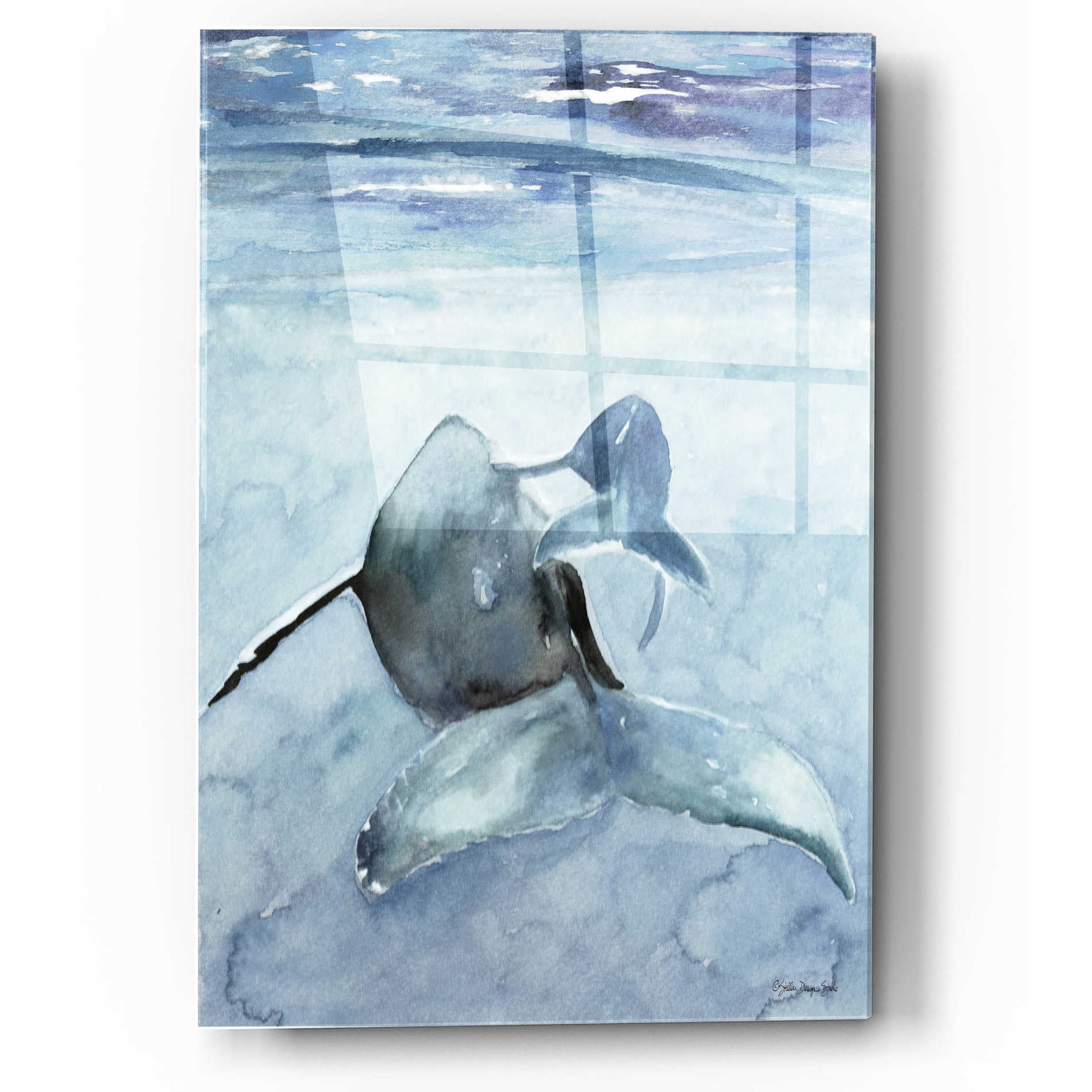 Epic Art 'Dolphin and Calf' by Stellar Design Studio, Acrylic Glass Wall Art,12x16