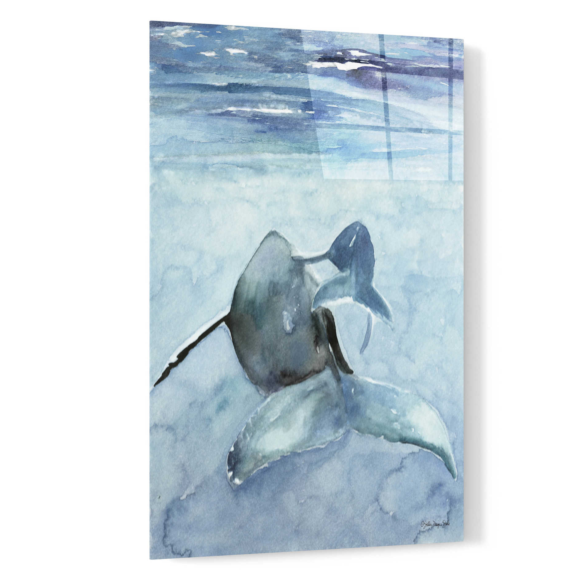 Epic Art 'Dolphin and Calf' by Stellar Design Studio, Acrylic Glass Wall Art,16x24