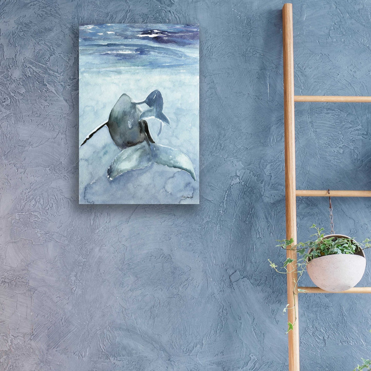 Epic Art 'Dolphin and Calf' by Stellar Design Studio, Acrylic Glass Wall Art,16x24