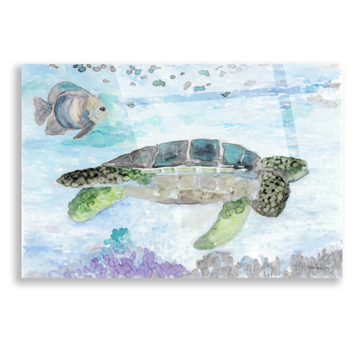 Epic Art 'Swimming Sea Turtle' by Stellar Design Studio, Acrylic Glass Wall Art,16x12