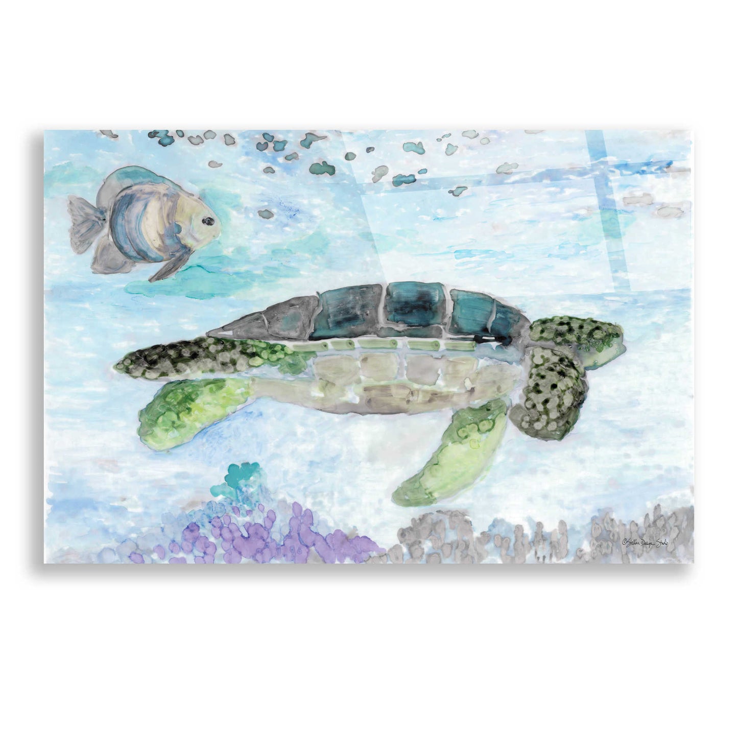 Epic Art 'Swimming Sea Turtle' by Stellar Design Studio, Acrylic Glass Wall Art,24x16