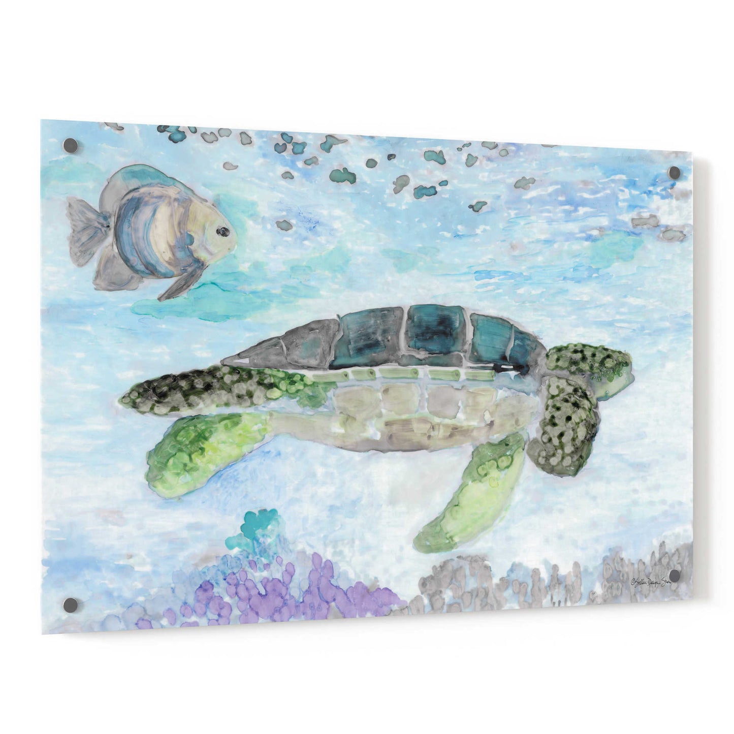 Epic Art 'Swimming Sea Turtle' by Stellar Design Studio, Acrylic Glass Wall Art,36x24