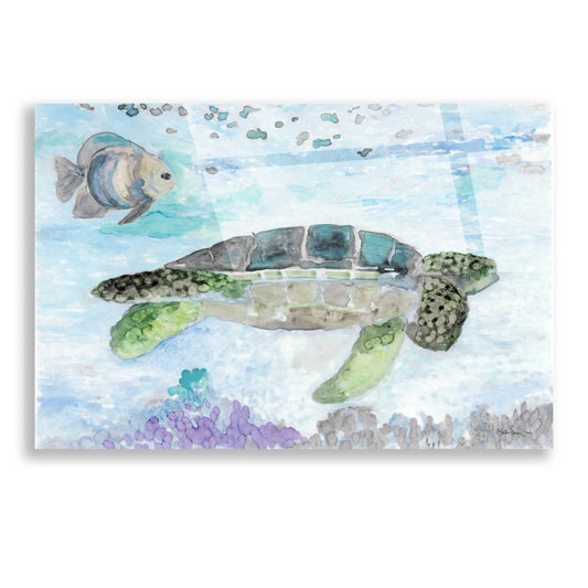 Epic Art 'Swimming Sea Turtle' by Stellar Design Studio, Acrylic Glass Wall Art