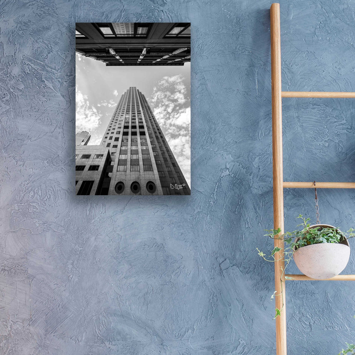 'Looking Up' by Donnie Quillen, Acrylic Wall Art,16x24