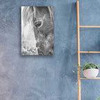 'Old Faithful' by Donnie Quillen, Acrylic Wall Art,16x24