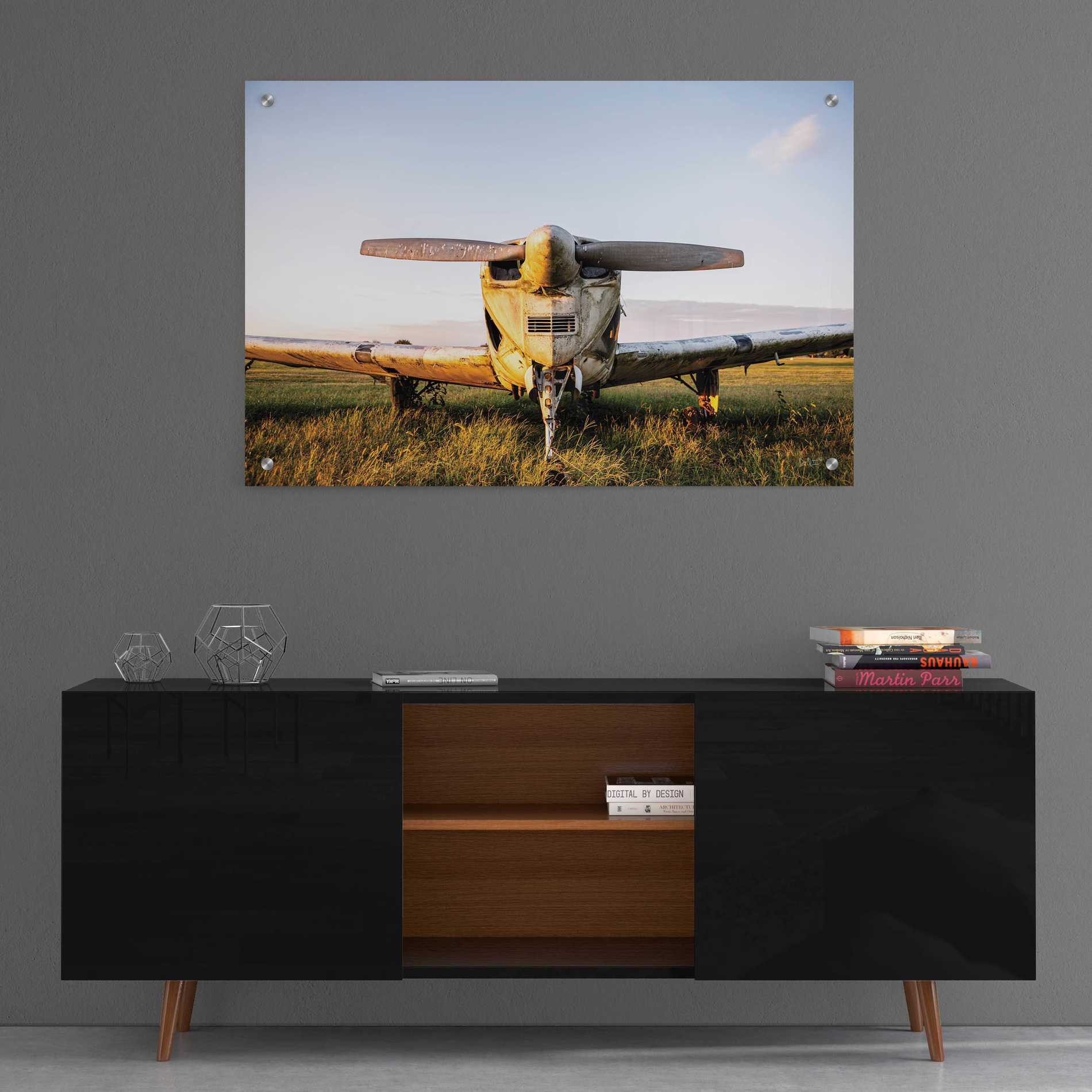 'Last Flight I Hold' by Donnie Quillen, Acrylic Wall Art,36x24