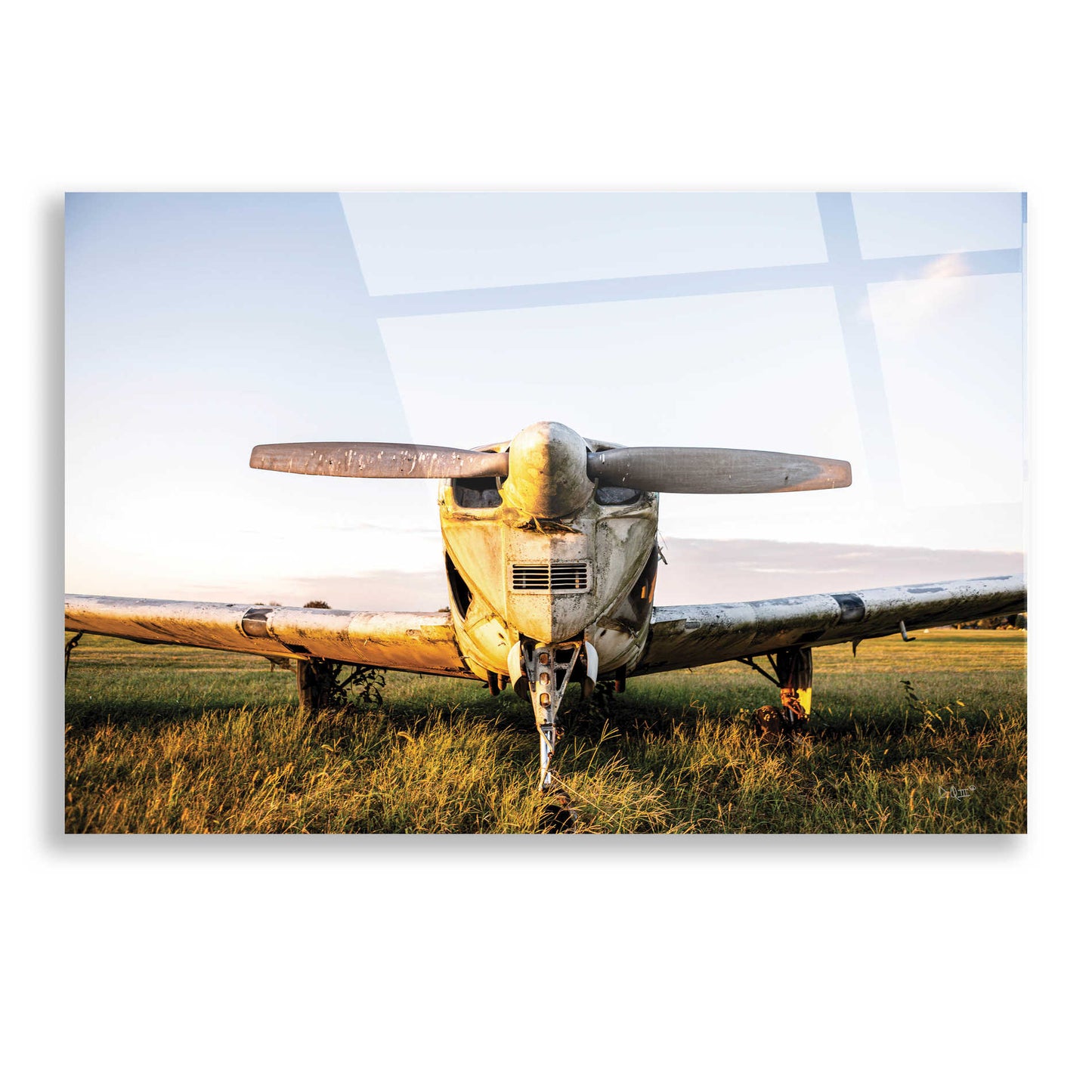 'Last Flight I Hold' by Donnie Quillen, Acrylic Wall Art