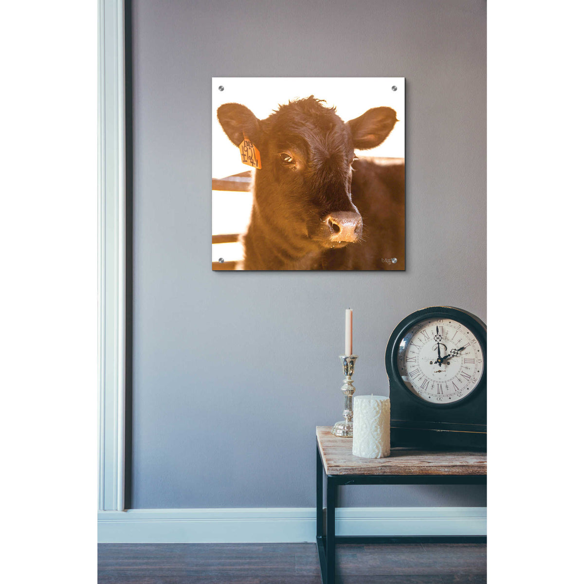 'Baby Cow I' by Donnie Quillen, Acrylic Wall Art,24x24