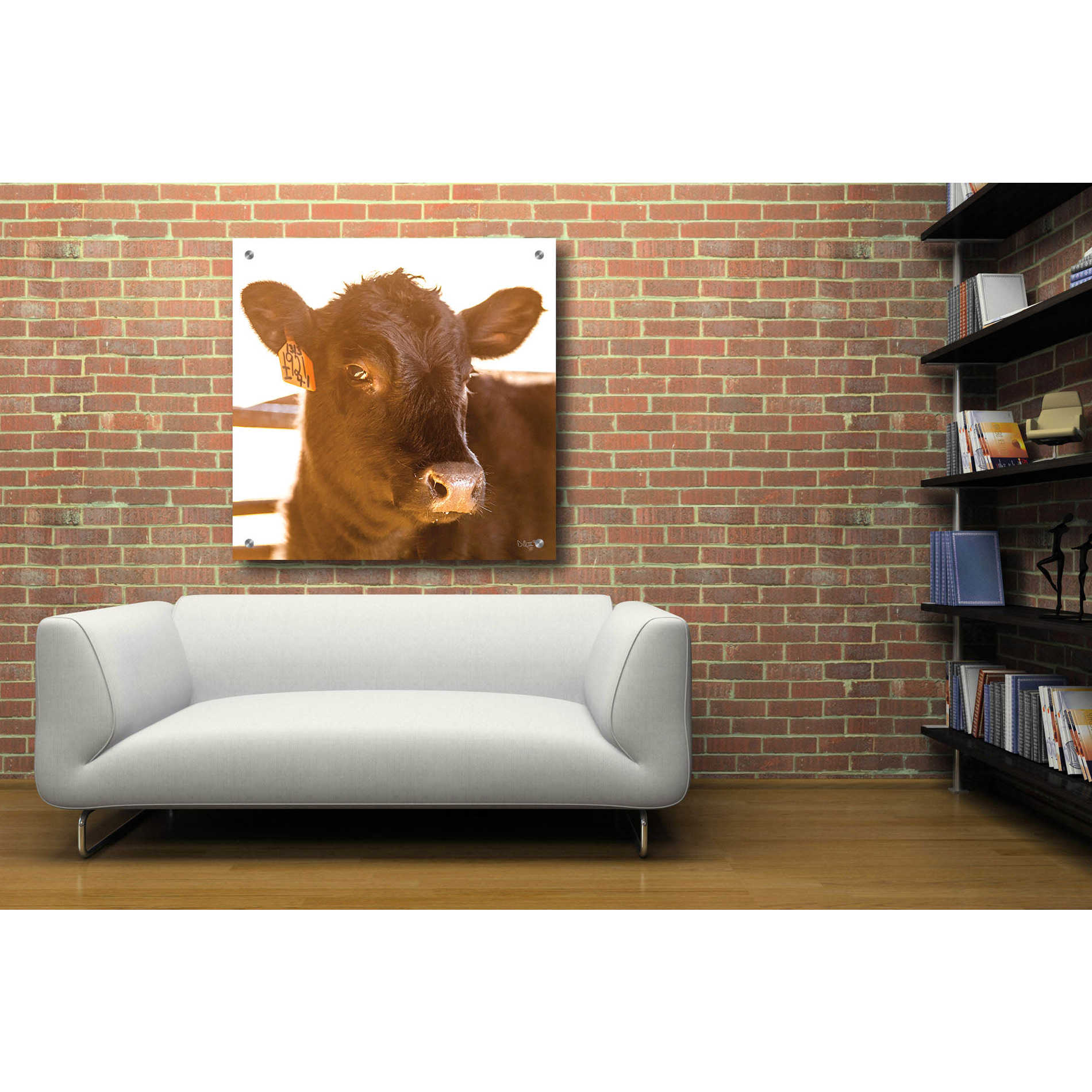 'Baby Cow I' by Donnie Quillen, Acrylic Wall Art,36x36