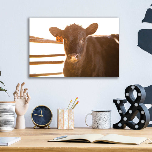 'Baby Cow II' by Donnie Quillen, Acrylic Wall Art,16x12