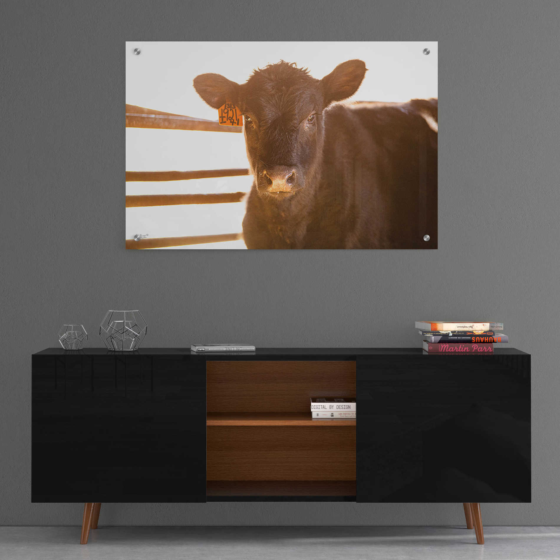 'Baby Cow II' by Donnie Quillen, Acrylic Wall Art,36x24