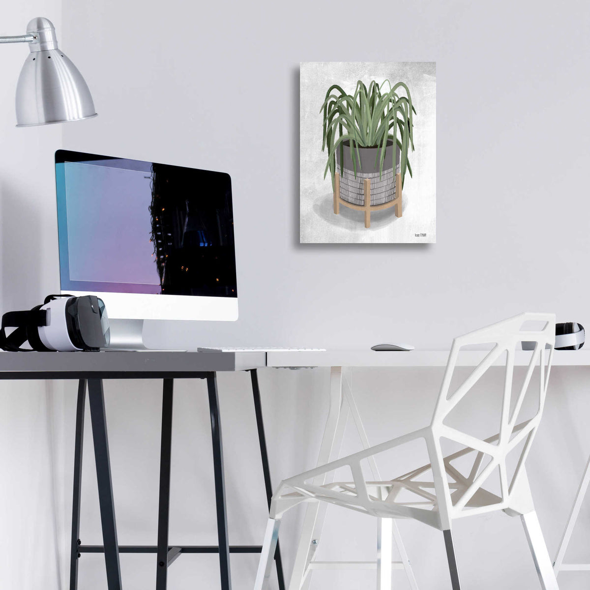 Epic Art 'Spider Plant' by House Fenway, Acrylic Glass Wall Art,12x16