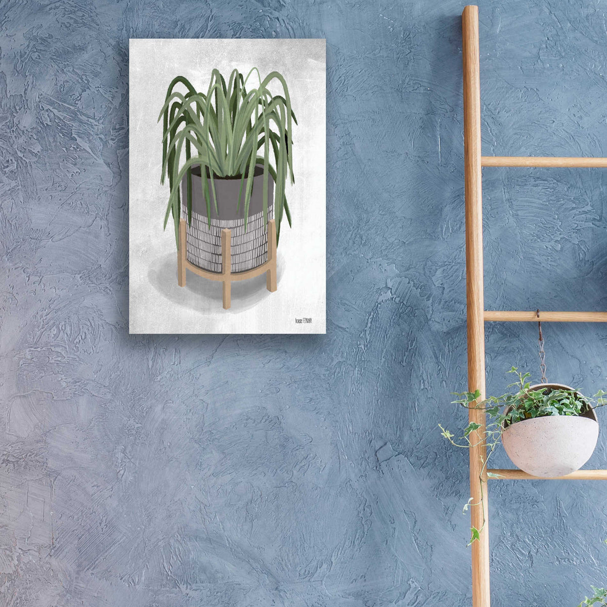 Epic Art 'Spider Plant' by House Fenway, Acrylic Glass Wall Art,16x24