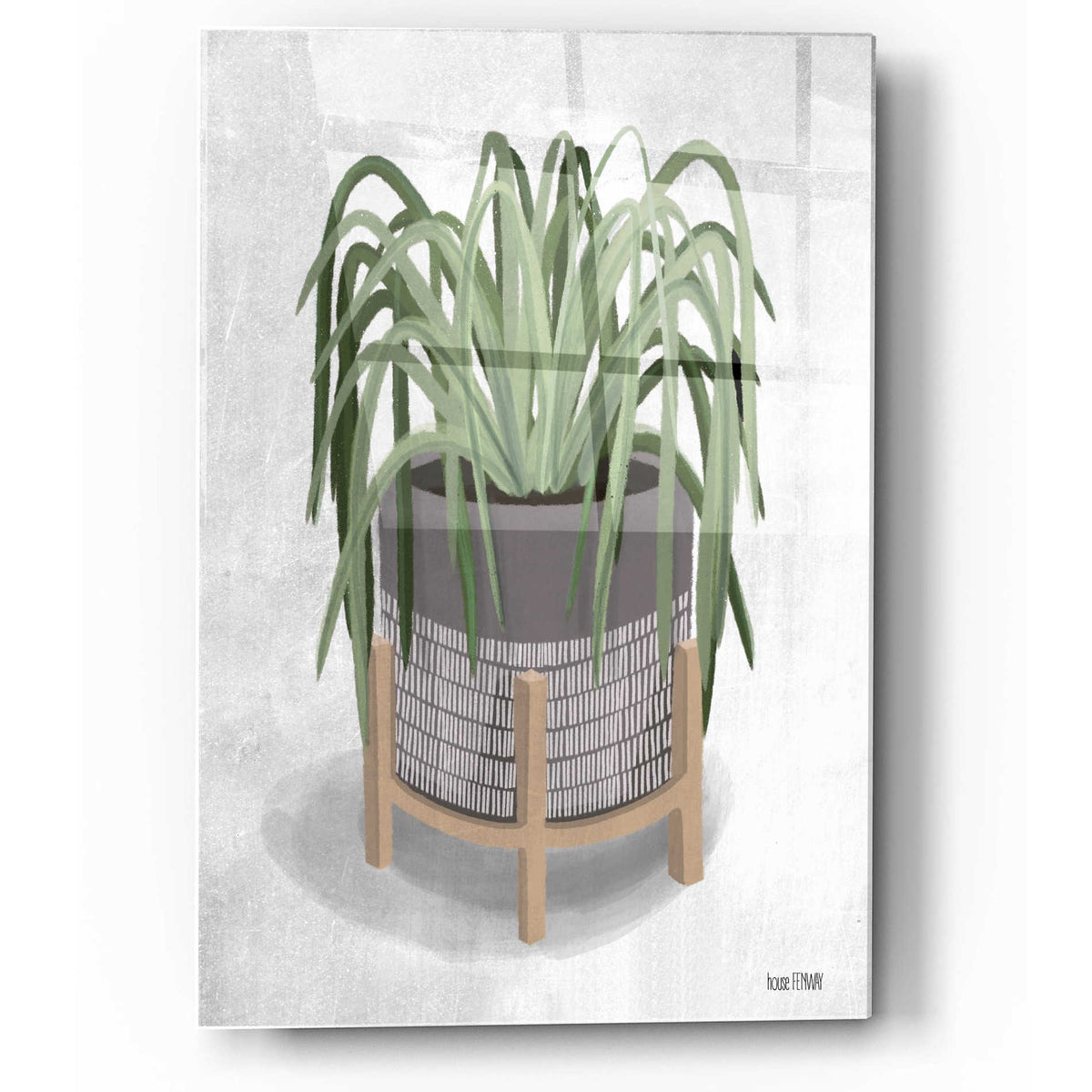 Epic Art 'Spider Plant' by House Fenway, Acrylic Glass Wall Art