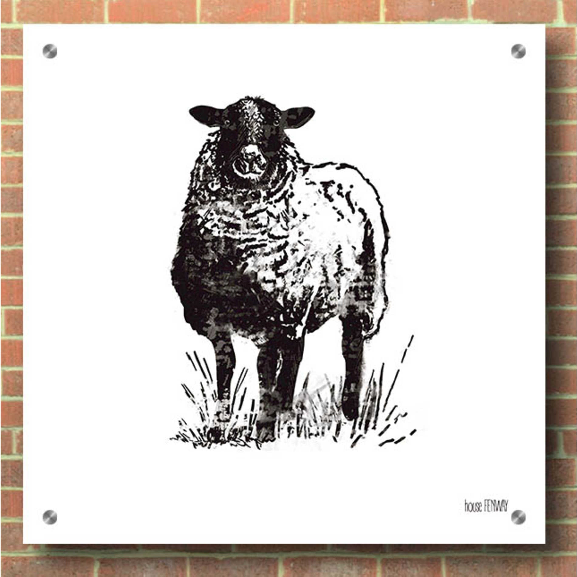 Epic Art 'Farmhouse Sheep' by House Fenway, Acrylic Glass Wall Art,36x36